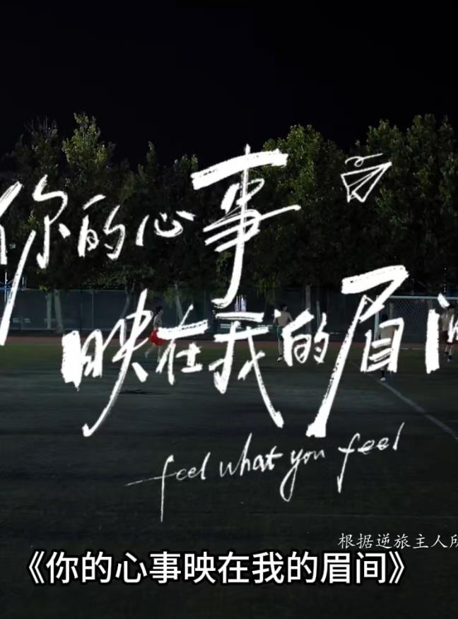 你的心事映在我的眉间——文化经营许可证