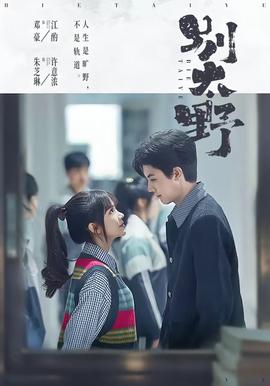 别太野——大博弈电视剧免费观看完整版40集