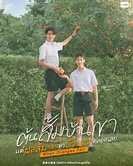当橘子掉落时——龙游天下第一部